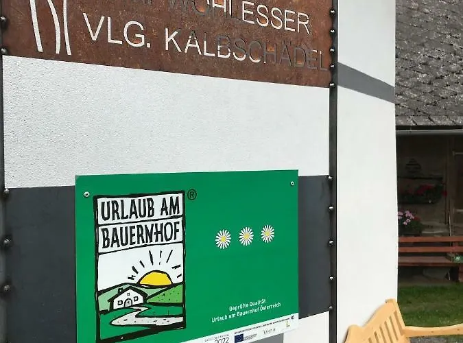 Wohlesser شقة Neumarkt in Steiermark